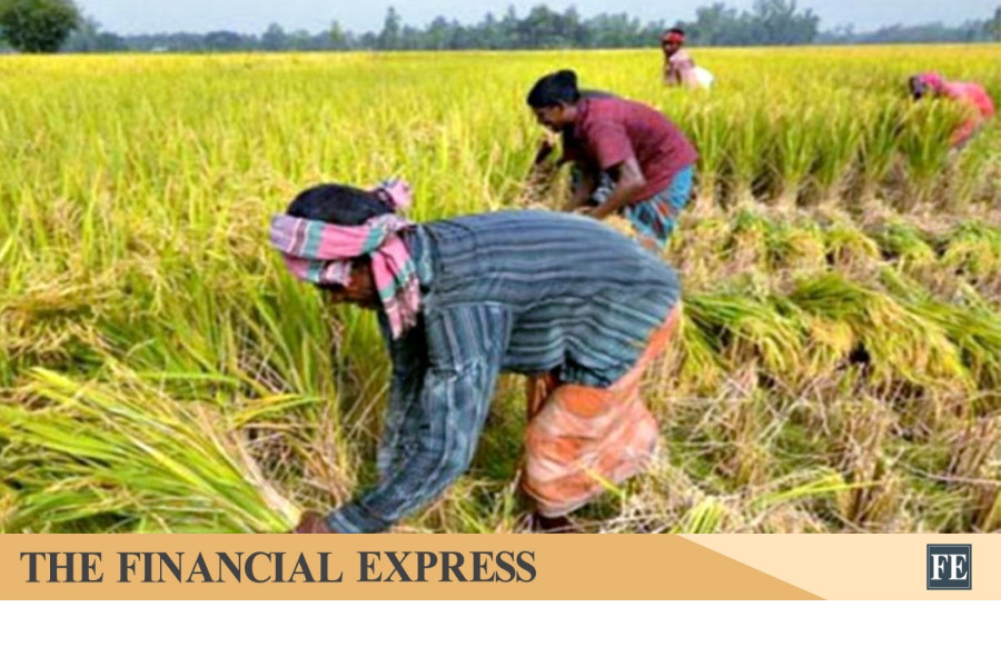 thefinancialexpress.com.bd