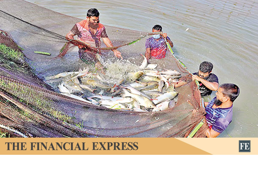 thefinancialexpress.com.bd