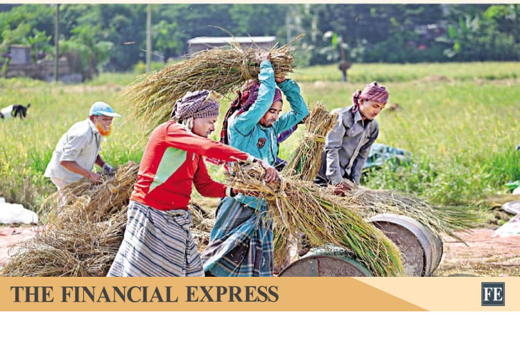thefinancialexpress.com.bd