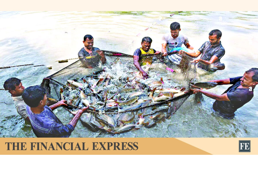 thefinancialexpress.com.bd