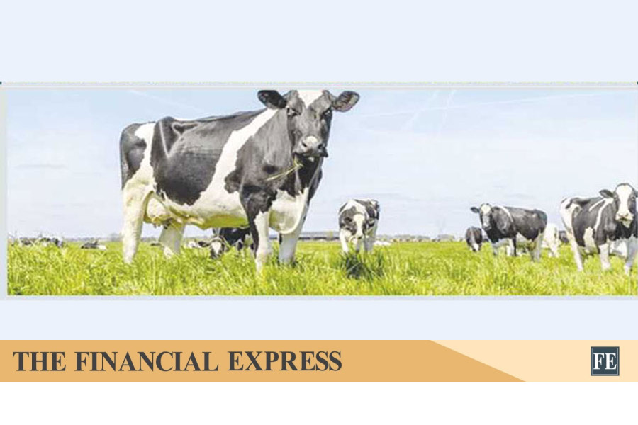 thefinancialexpress.com.bd