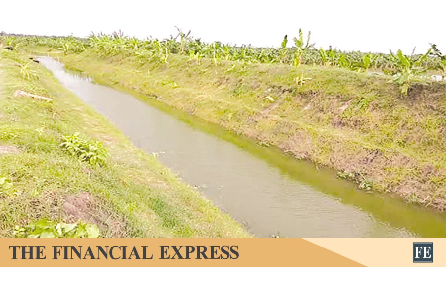 thefinancialexpress.com.bd