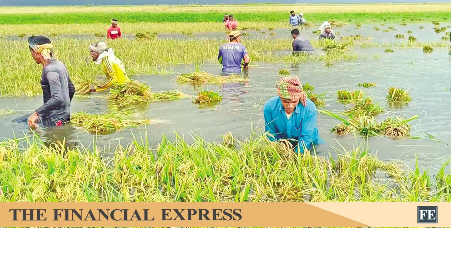 thefinancialexpress.com.bd