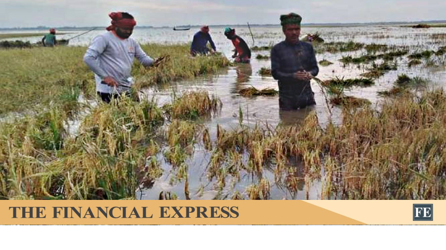 thefinancialexpress.com.bd