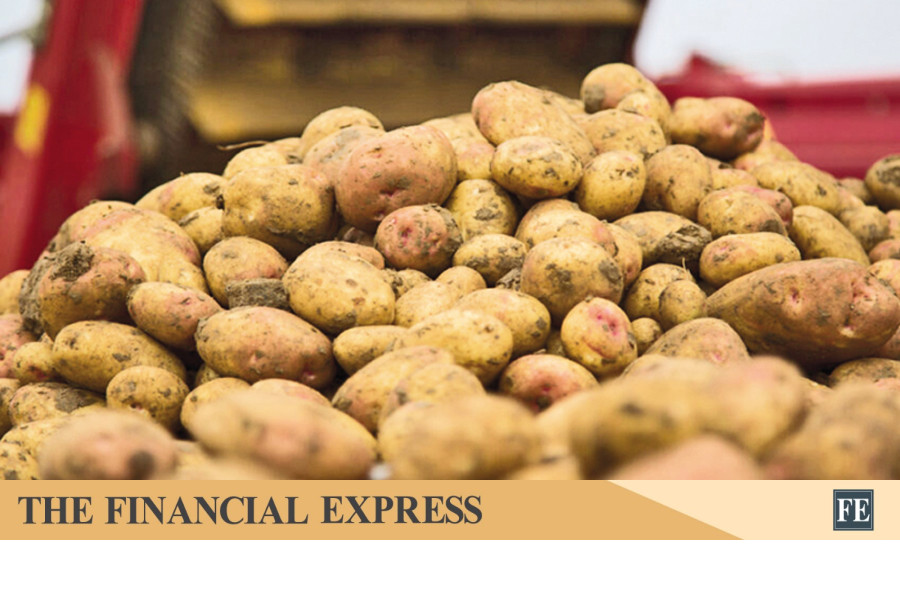 Vietnam opens market for Bangladeshi potatoes