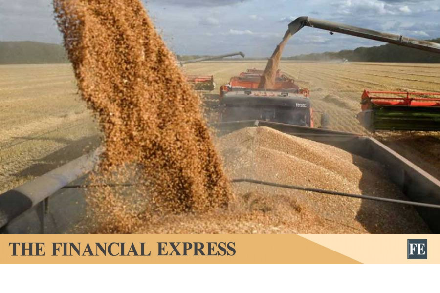 India allows export of 2.5m tonnes of wheat