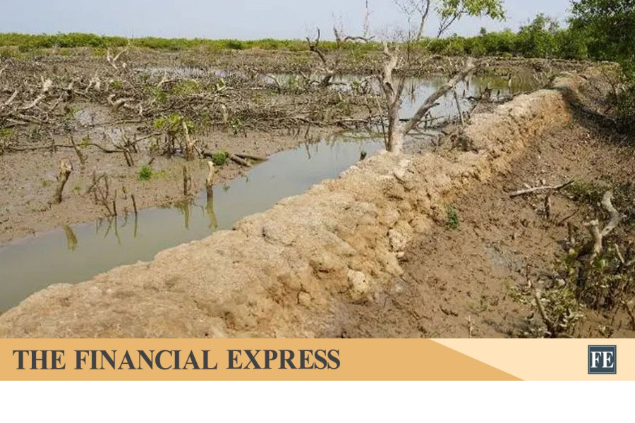 thefinancialexpress.com.bd