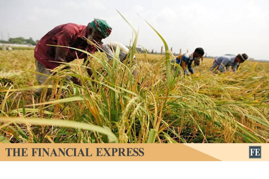 thefinancialexpress.com.bd