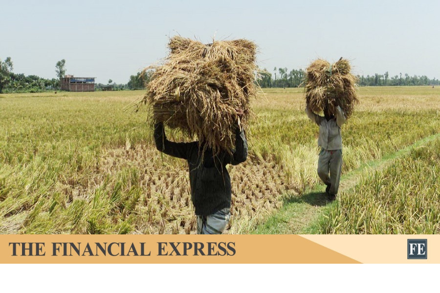 thefinancialexpress.com.bd