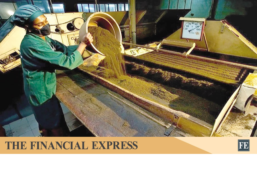 Tea imports hit decade-low level