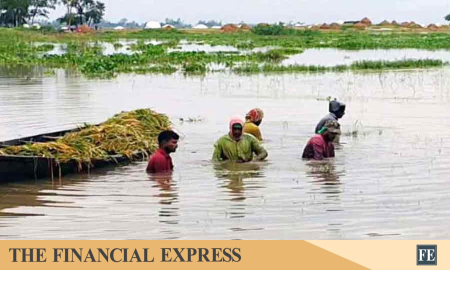 thefinancialexpress.com.bd