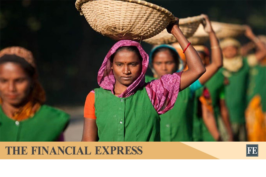 Rural Road Maintenance: LGD proposes Tk 12.3b scheme to employ 79,680 women