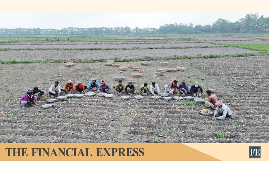 thefinancialexpress.com.bd