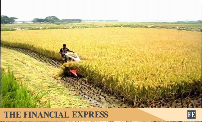 thefinancialexpress.com.bd