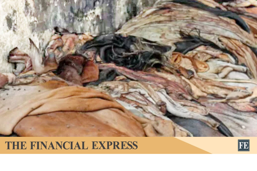 Protecting the seasonal rawhide traders