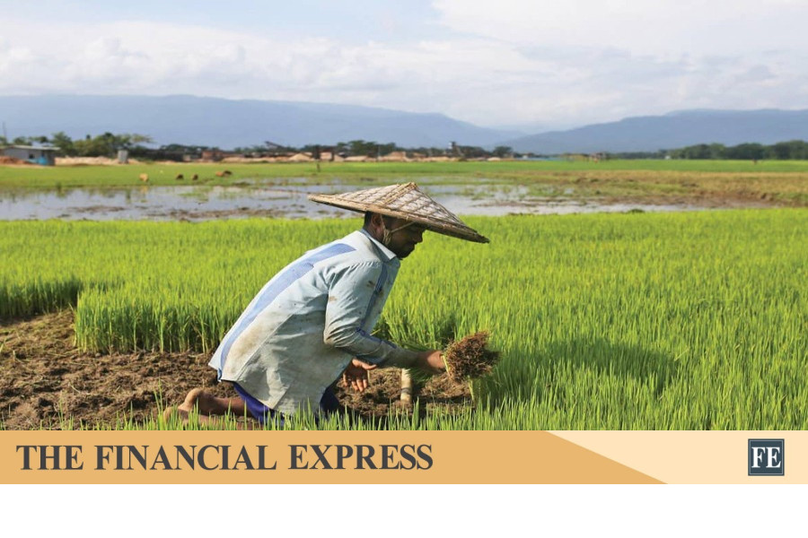 thefinancialexpress.com.bd