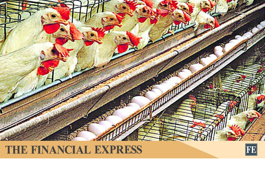 thefinancialexpress.com.bd