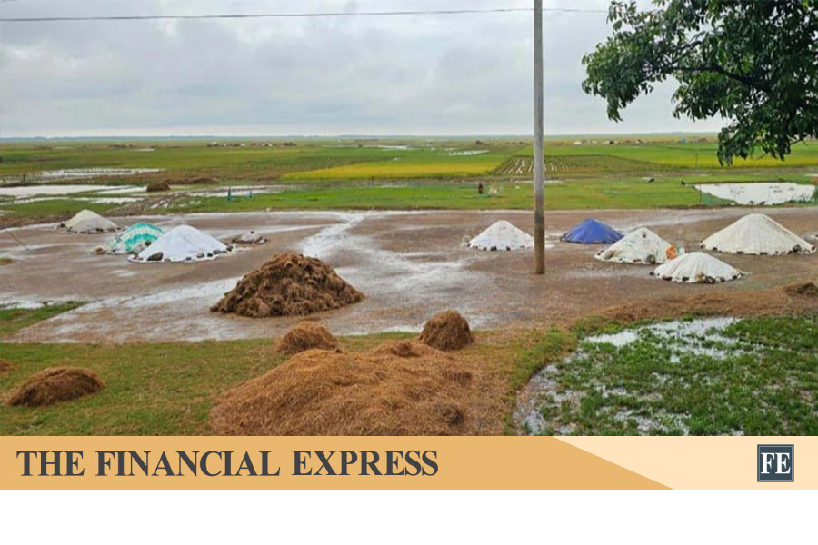 Flash floods disrupt Boro paddy harvest, curtailing supply
