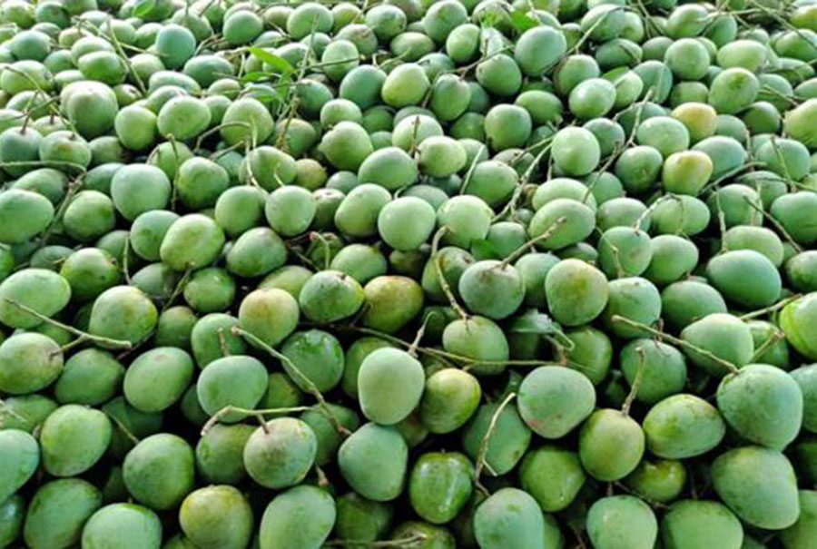 Representational photo