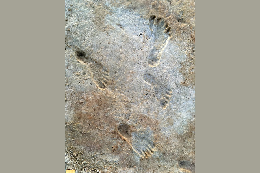 Ancient human footprints at White Sands National Park in New Mexico, US, are seen in this undated handout photograph obtained by Reuters on October 5, 2023.