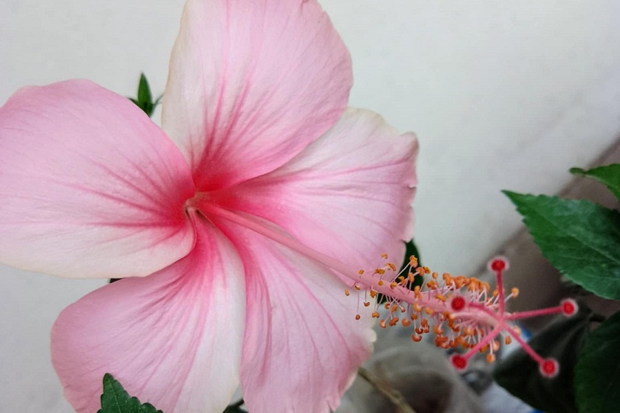 প্রতীকী ছবি