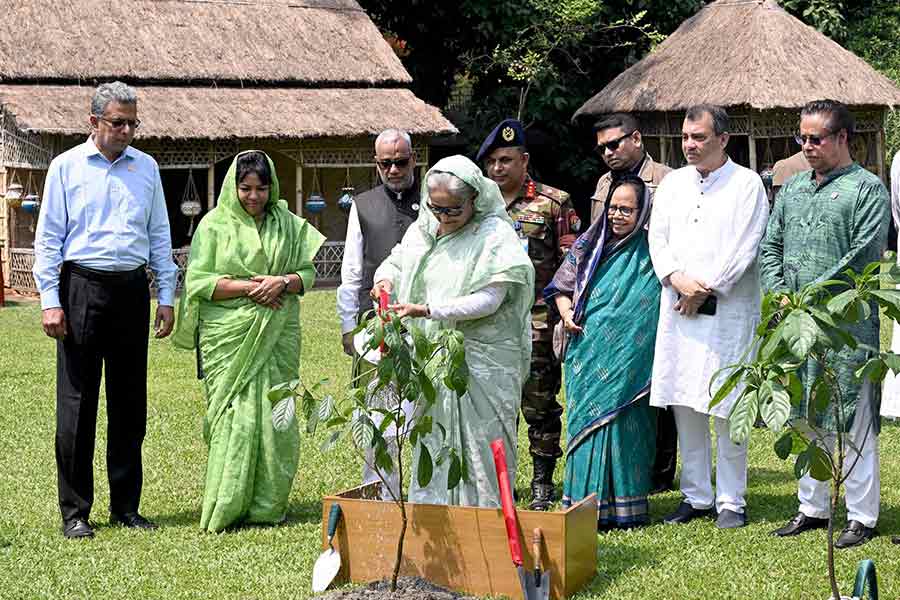 Prime Minister Sheikh Hasina planting trees on the premises of Ganabhaban on Monday as part of the inauguration of the Environment Fair-2023, National Tree Plantation Campaign and Tree Fair-2023 marking World Environment Day 2023 –PID Photo