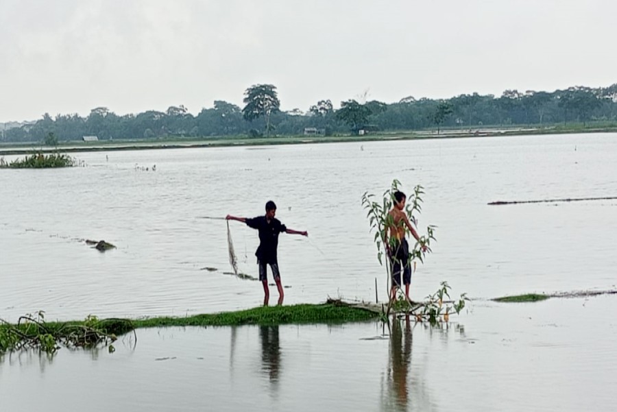 ফাইল ছবি।