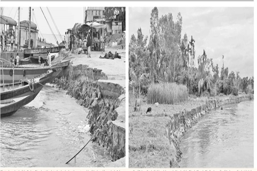Photo shows bank of the Padma River breaking into the riverbed on the eastern side of Nazirganj ferry pier in Sujanagar upazila of Pabna district(left) and the eroded bank of the Dharla River in Phulbari upazila of Kurigram district (right)