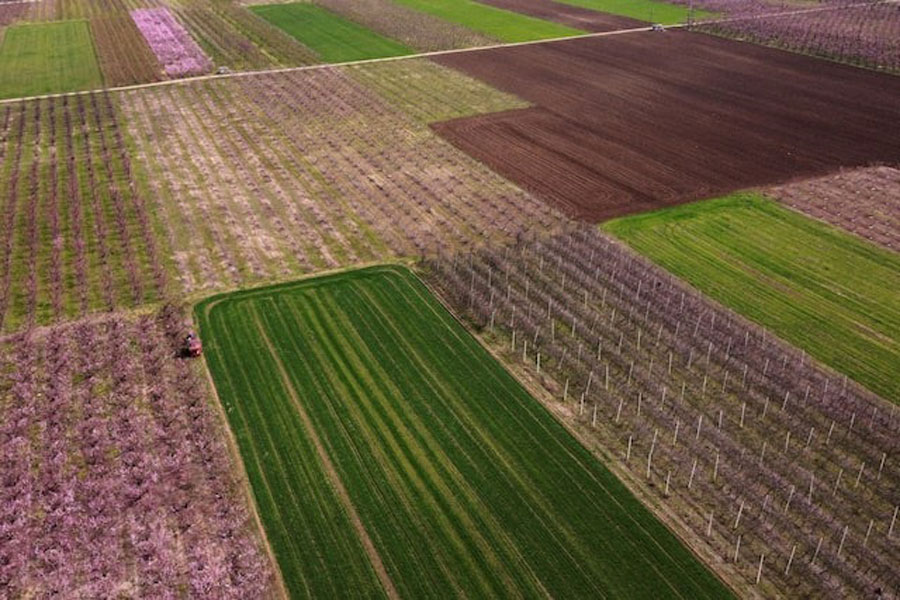 A farmer works on his field next to blossomed peach tree fields in Veria, Greece, March 17, 2021. Picture taken March 17, 2021. Picture taken with a drone.