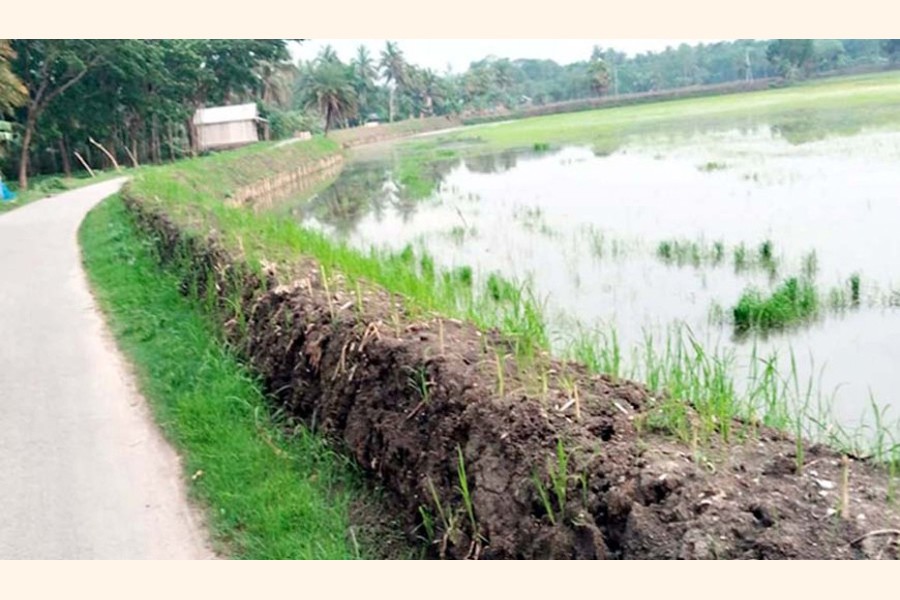 Footpath encroached, embankment built beside the busy paved road connecting Nehalpur-Alipur-Poradanga in Monirampur upazila of Jashore district