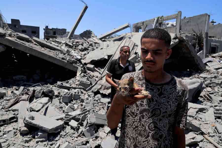 A Palestinian holds a cat as he inspects houses destroyed during an Israeli military operation, in Deir al-Balah, central Gaza Strip, July 23, 2025.