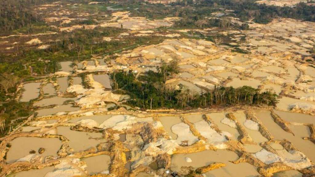 An aerial view shows iIllegal mining, also known as garimpo, at a deforested area of the Sarare Indigenous Land, in Mato Grosso State, Brazil, August 21, 2024. Fabio Bispo/Greenpeace Brazil/Handout via REUTERS