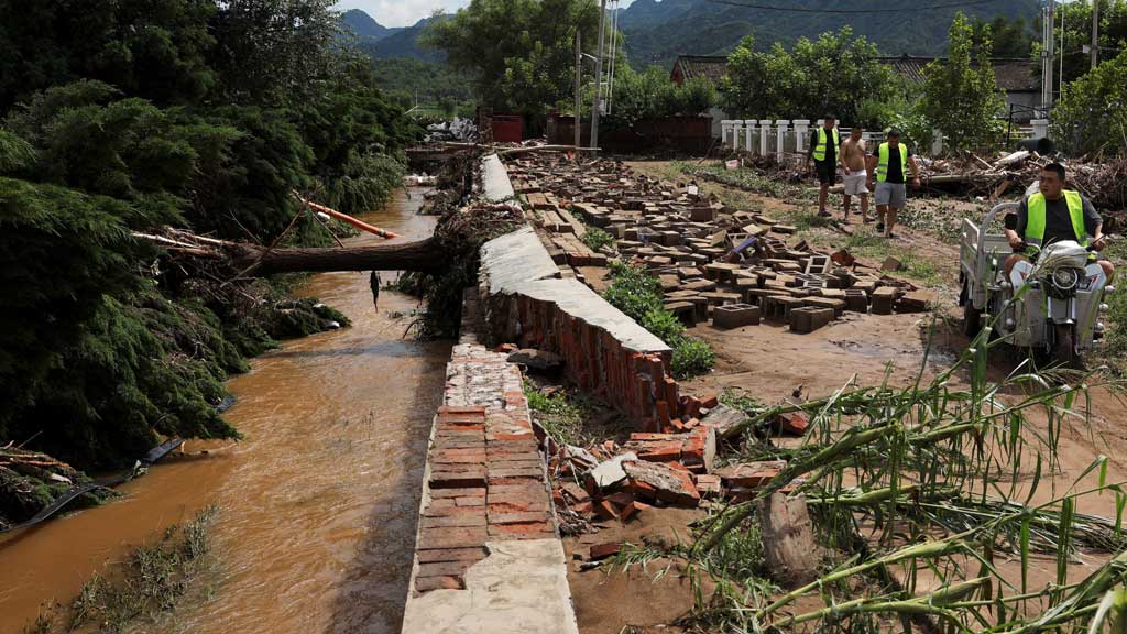 Men walk past fallen trees and damaged corn plants, after heavy rainfall flooded the area in Miyun district of Beijing, China Jul 29, 2025. REUTERS