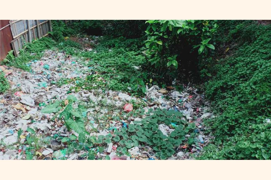 Shyamasundari Canal, the only drainage point of Rangpur city, in Dewanbari Road area, is filled with garbage and shrubs that have become a safe haven for mosquitoes FE Photo