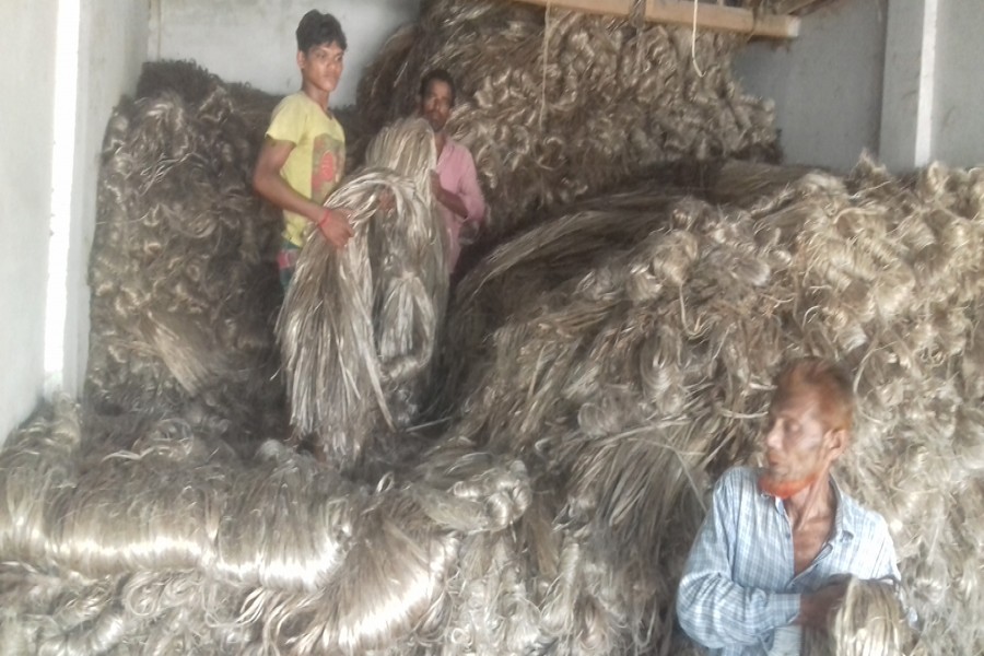 Newly-harvested jute is being traded in Notun Bazar of Magura tow