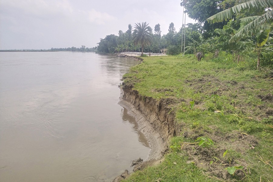 Photo shows prevailing river erosion situation at Bumka village in Mogolhat union under Sadar upazila of Lalmonirhat district