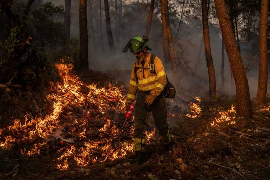 Jorge Fernandez of Granada’s 401st BRICA (Special Reinforcement Brigade for Wildfires in Andalusia) carries out a controlled burn in the village of San Martino de Alvaredos, Lugo area, Galicia region, Spain, August 17, 2025.