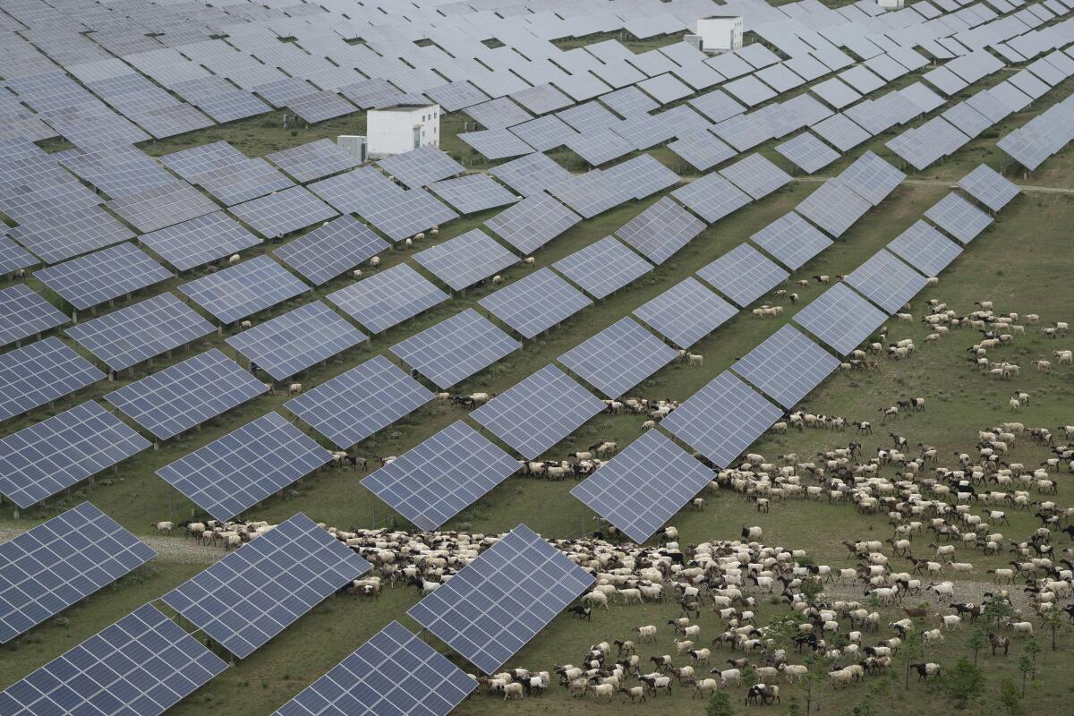 A bird rests on a cable strung between solar panels in Hainan prefecture of western China's Qinghai province on Tuesday, July 1, 2025. (AP Photo/Ng Han Guan)