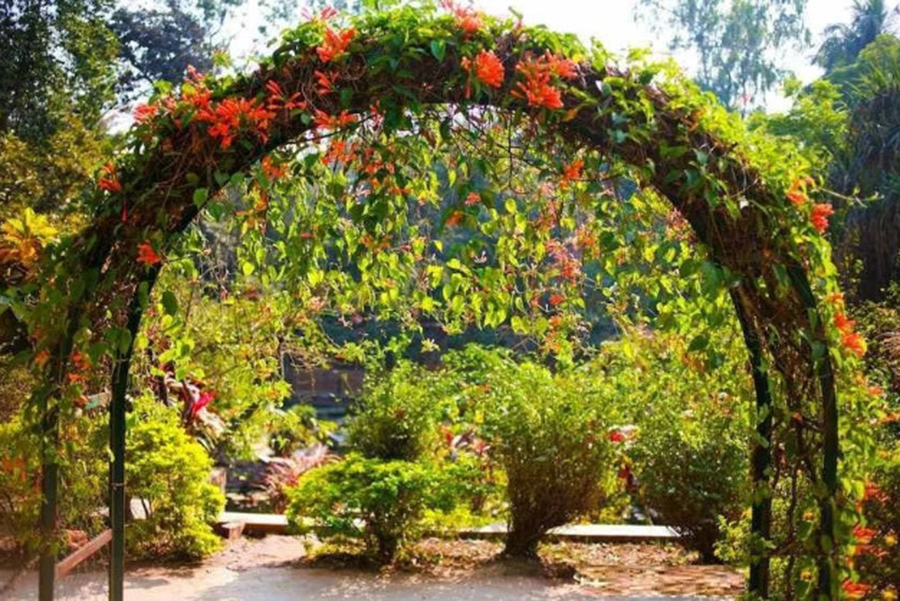 File photo. Collected