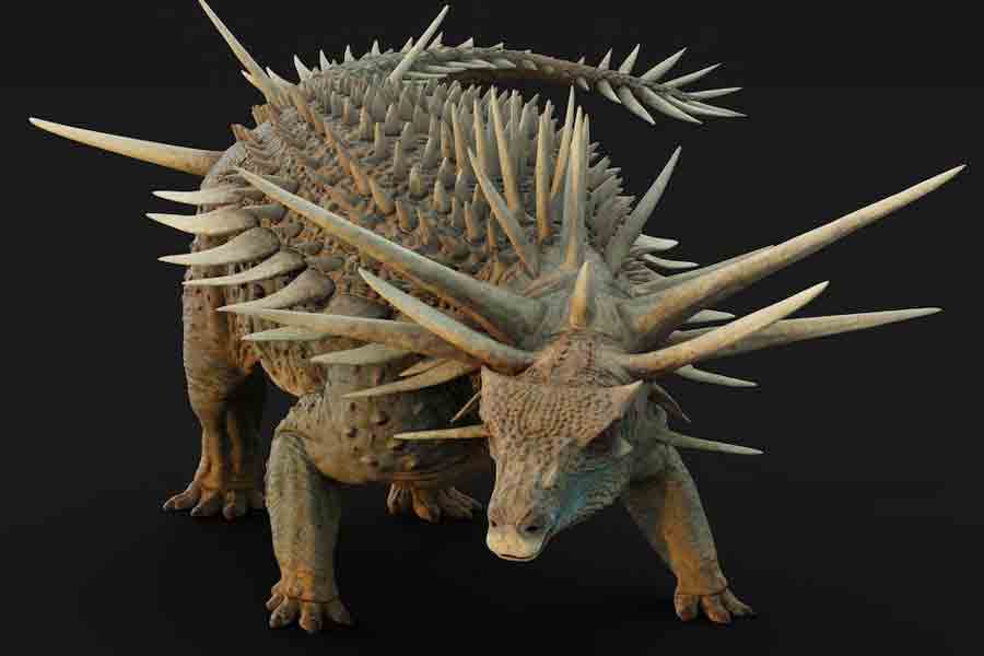An artistic reconstruction of the ankylosaur Spicomellus afer, based on fossils found in the Atlas Mountains of Morocco, shows the animal with the most extensive armor of any known dinosaur.
