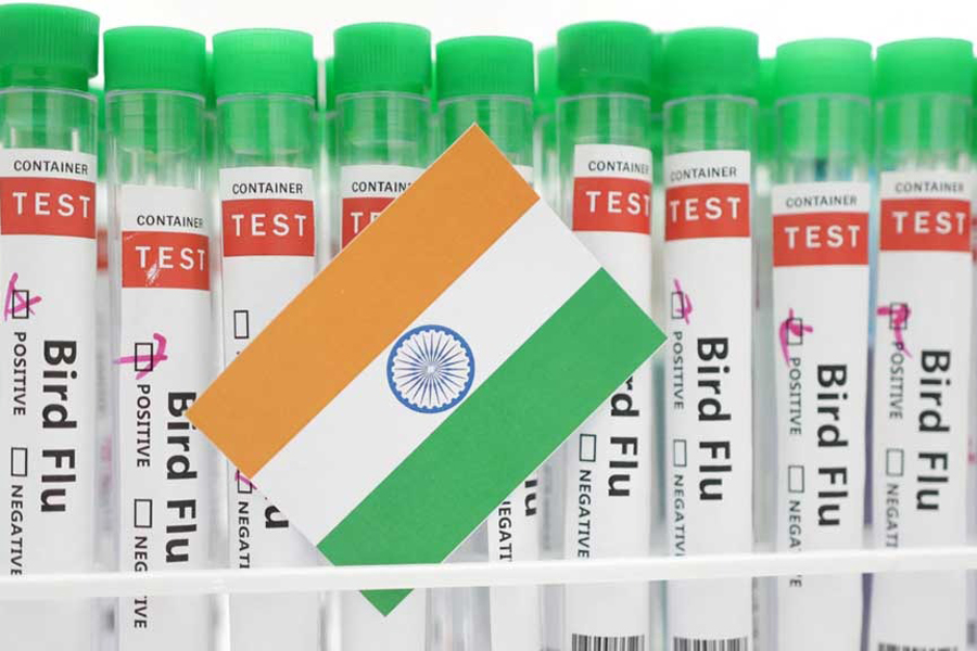 Test tubes labelled "Bird Flu" and a piece of paper in the colours of the Indian national flag are seen in this picture illustration, January 14, 2023.