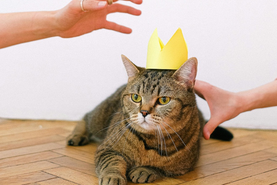 Representational image