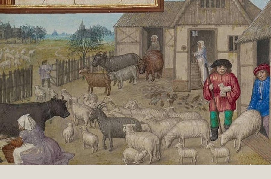 কৃষিকাজের জন্য গৃহপালিত পশু