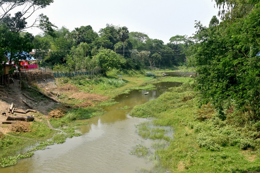 Photo shows an unplanned embankment which disrupts the natural flow of water in the Ichamati River in Harirampur upazila of Manikganj district- FE Photo