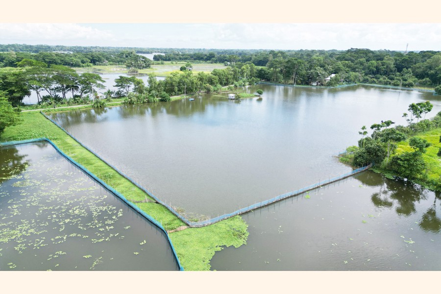 Photo shows a fish farm in Kotalipara upazila of Gopalganj using the pen culture method. - FE Photo