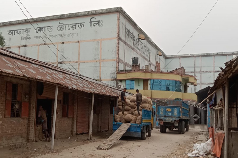 Photo shows workers busy unloading potatoes from a truck in Shibganj upazila of Bogura district- FE Photo