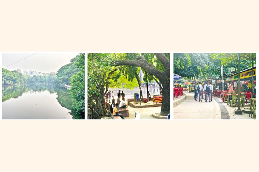 Dhanmondi lake and the places around Rabindra Sarobar. — Photos by MD Imran