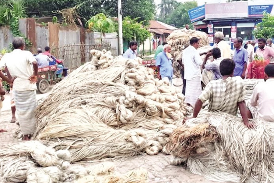 Growers load three-wheelers with jute in Gaibandha- FE Photo