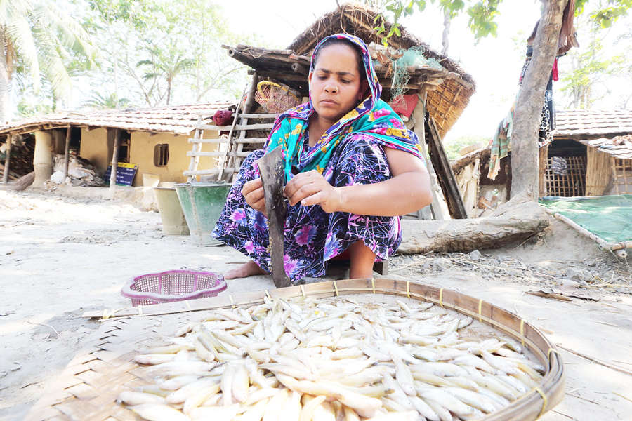 Women who work for their families are yet to be recognised as contributors to the national economy —collected photo
