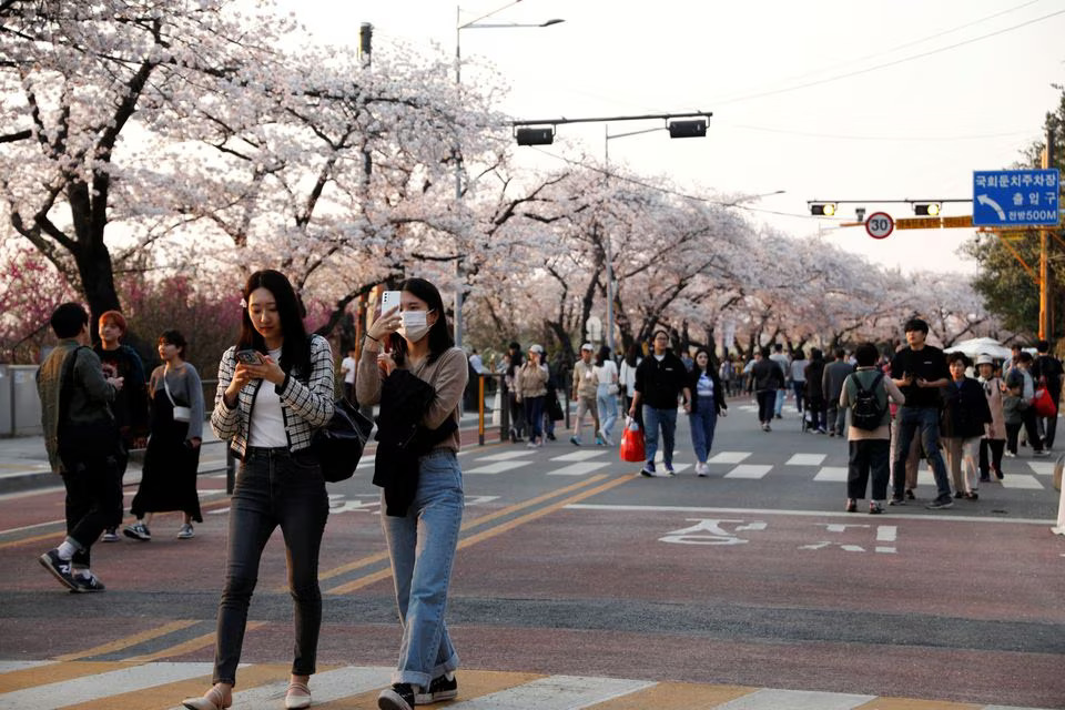 People walk near blooming cherry blossoms in Seoul, South Korea on April 2, 2023 — Reuters/Files